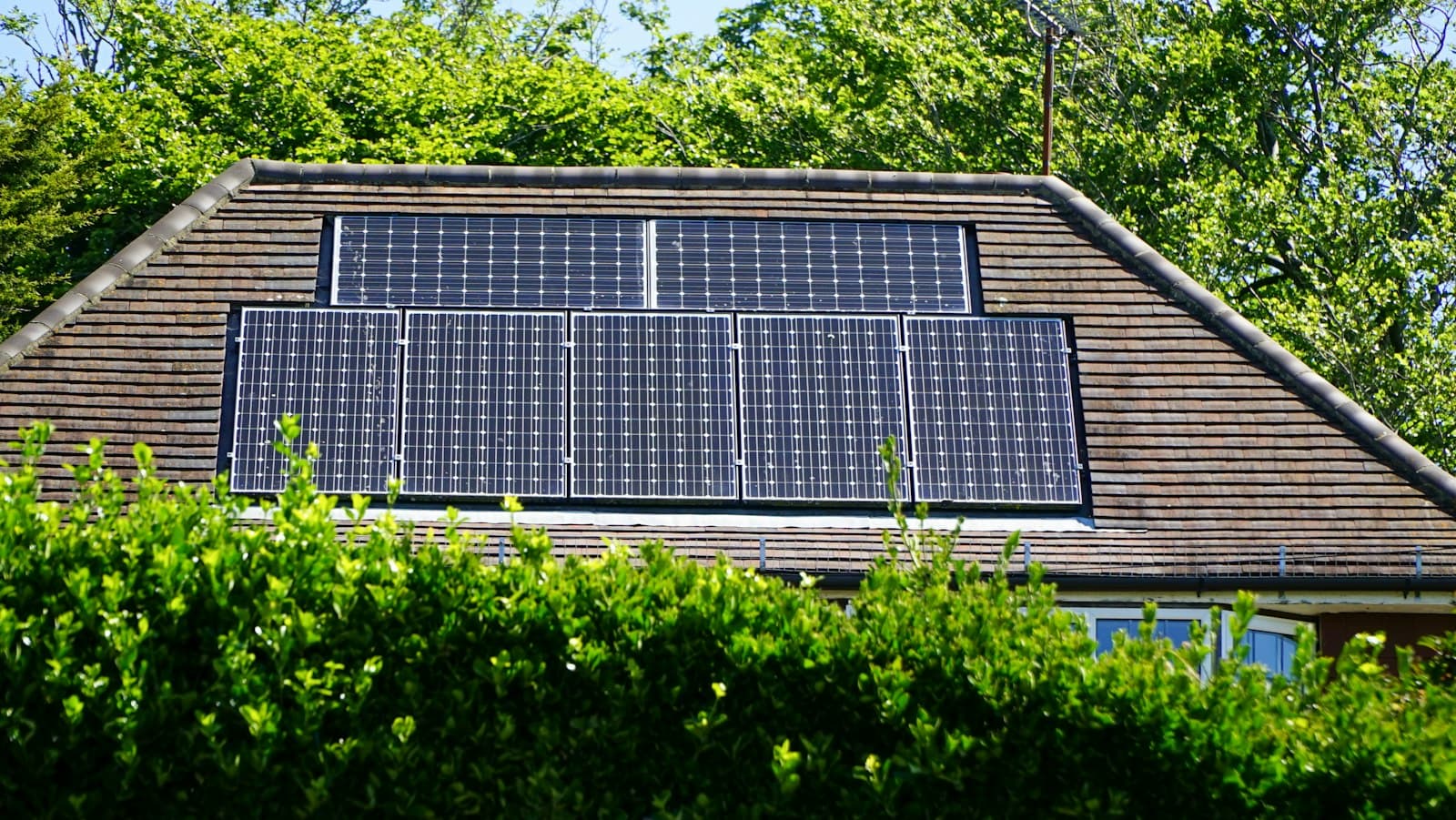 Rooftop solar panels on a tiled roof above a green hedge